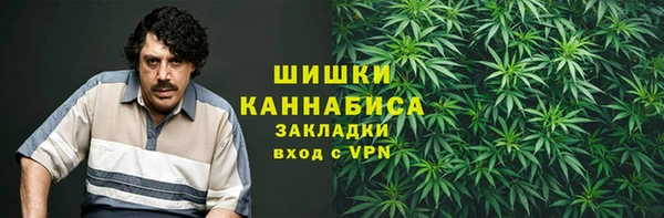 ГАЛЛЮЦИНОГЕННЫЕ ГРИБЫ Тобольск
