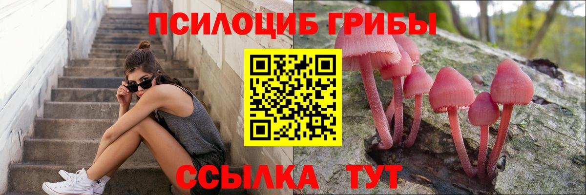 Новочебоксарск  Псилоцибиновые грибы мицелий  Вход с VPN 