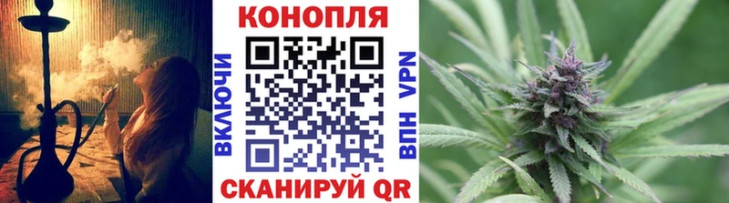 Бошки Шишки семена  Новочебоксарск 